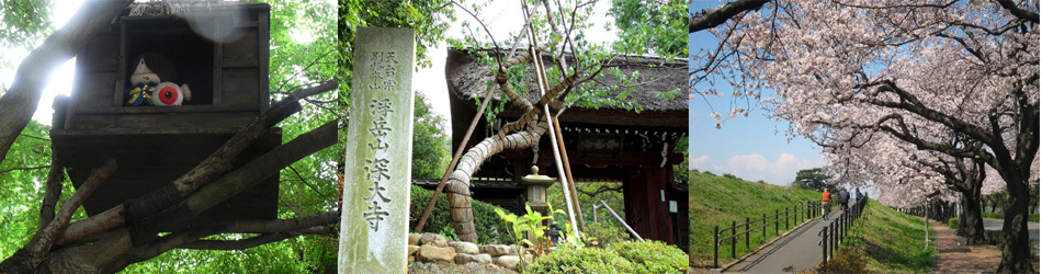 調布・狛江桜友会